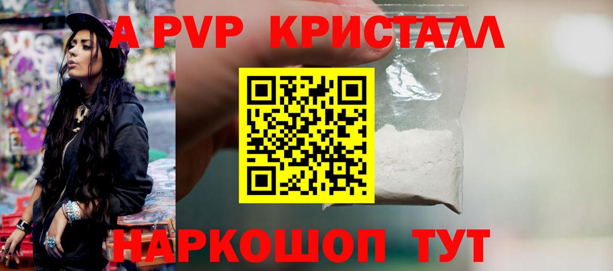 A-PVP СК КРИС Элиста