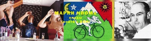 твердый Алзамай
