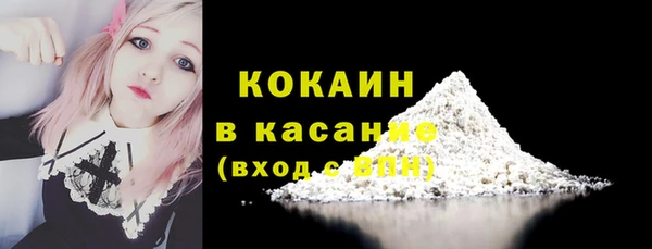 твердый Алзамай