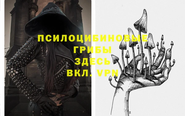 твердый Алзамай