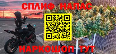 дживик Моздок