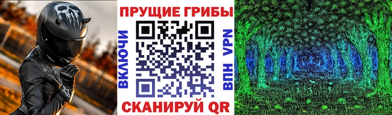 Псилоцибиновые грибы Magic Shrooms  ОМГ ОМГ как зайти  Элиста 