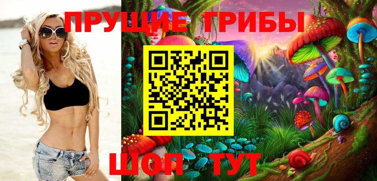 Псилоцибиновые грибы Cubensis Элиста