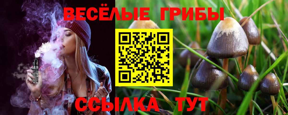 Галлюциногенные грибы Psilocybine cubensis  Вход с VPN  Псилоцибиновые грибы мухоморы  Элиста 